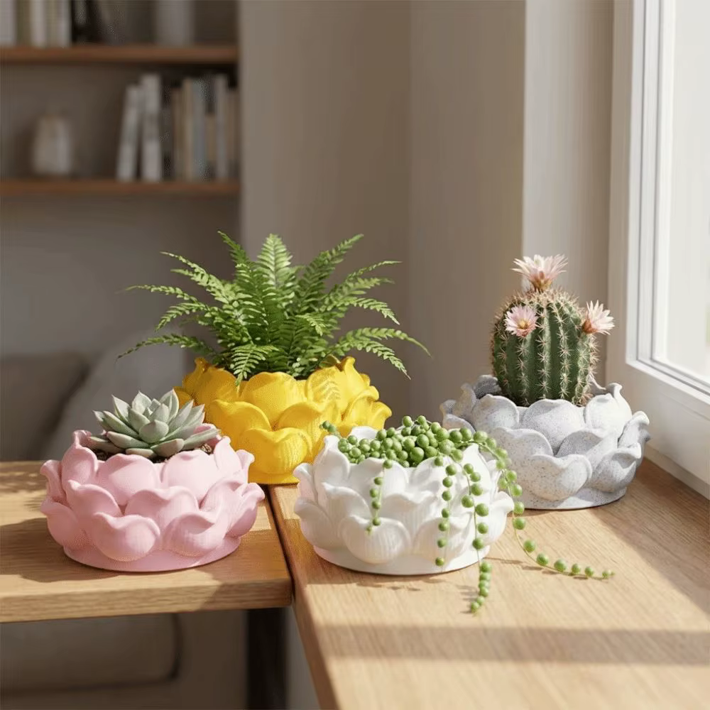 Pot de plante succulente en forme de lotus