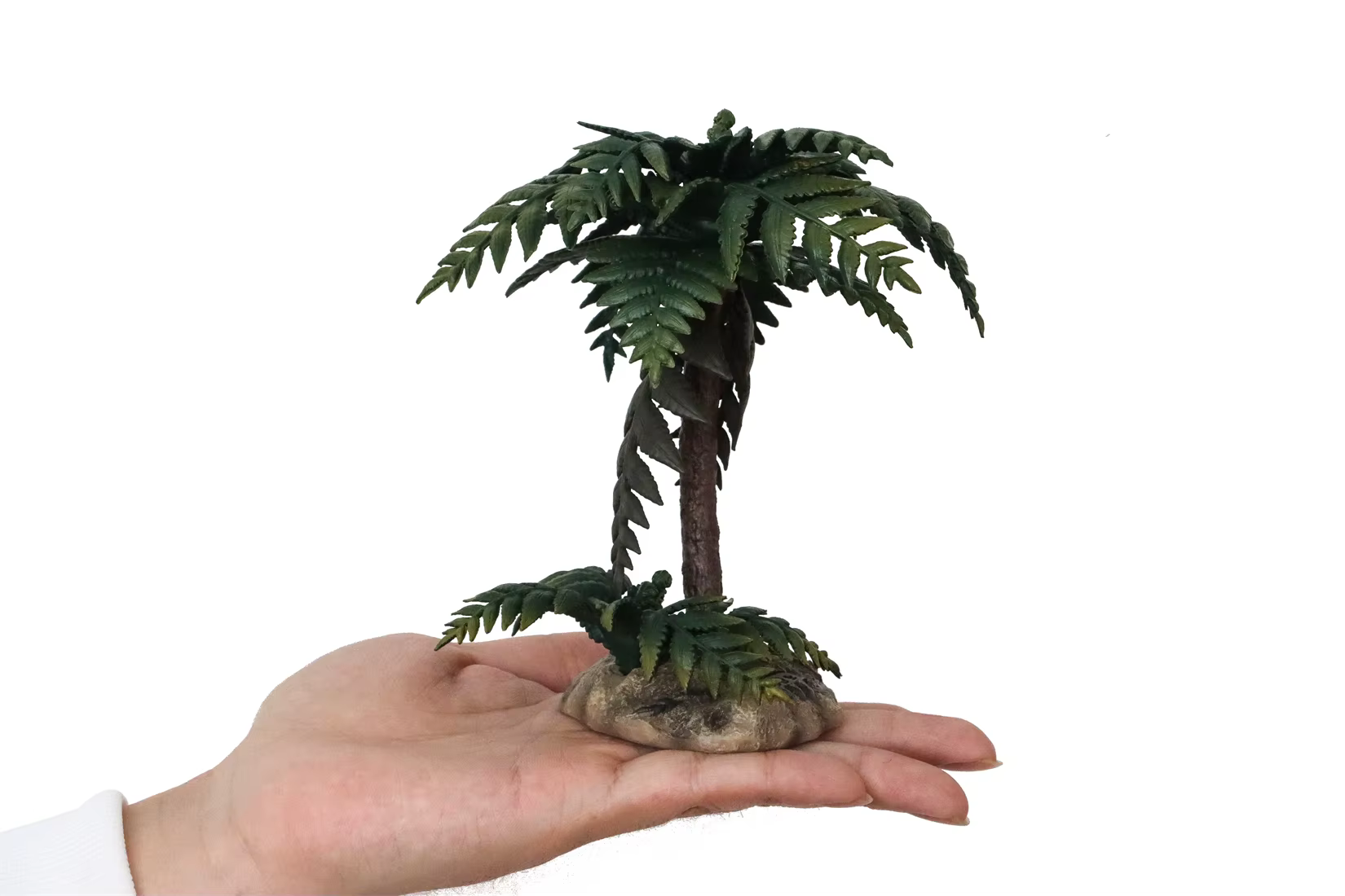 TNG Studio T6080 Alsophila Spinulosa Modèle Pteridophyta Arbre Collection Scène Décoration Accessoire Cadeau d'anniversaire Figurine de plante