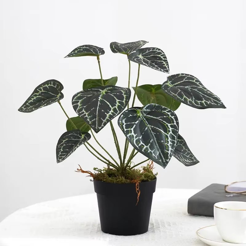 Plantes Vertes Artificielles