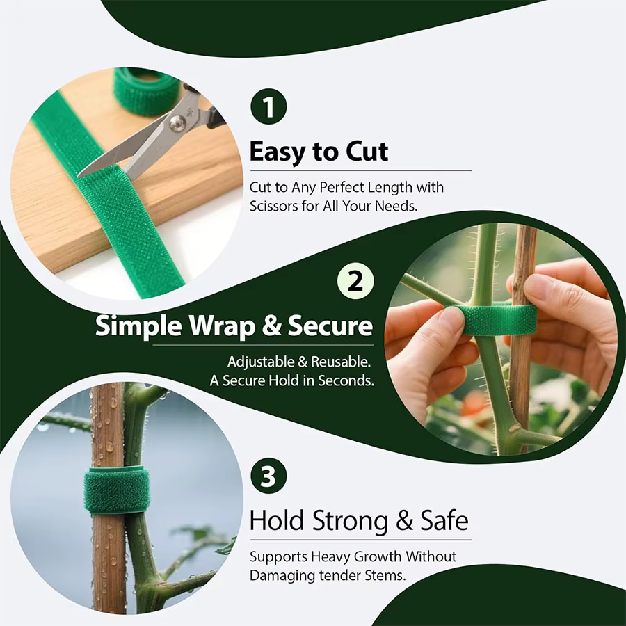 Attaches Réutilisables pour Plantes