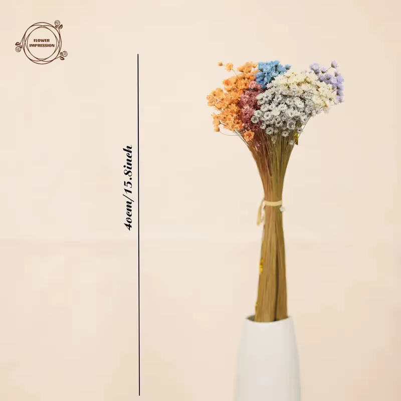 50pcs petite étoile marguerite fleurs séchées décor de mariage