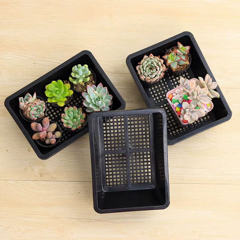 5/1 Pièces Plateau de culture pour plantes