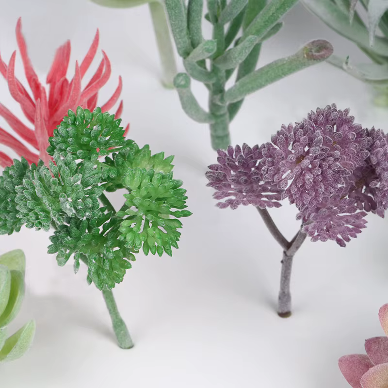 Plantes succulentes artificielles sans pot