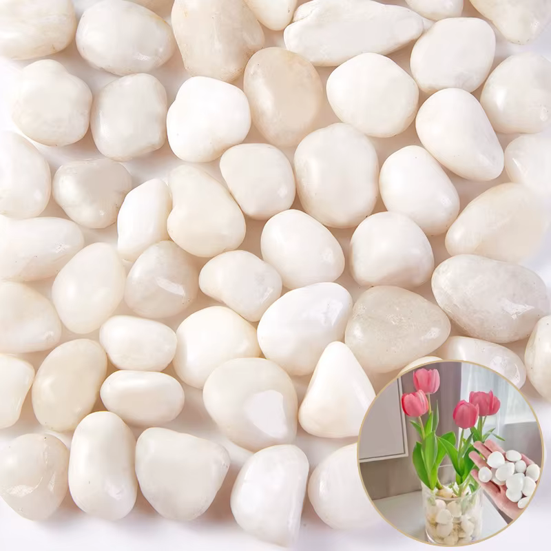 200 ~ 800g galets blancs 2 ~ 3cm conception de paysage et pavage de route pierres de fleurs de pluie hautement polies pierre de décoration de piscine TMZ
