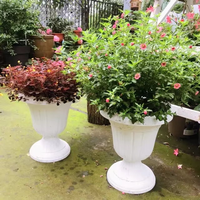 Arrangement de fleurs de grande taille