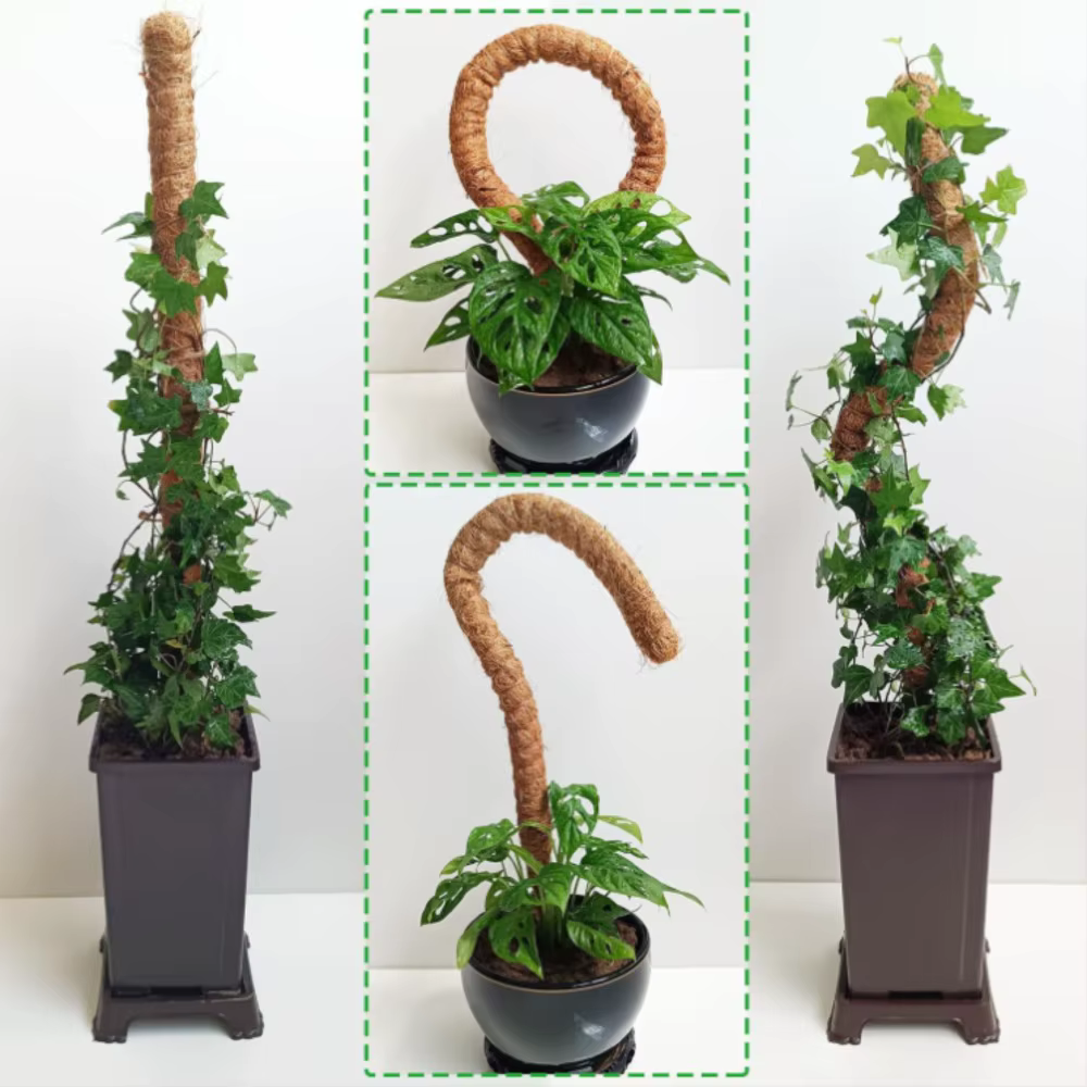 Support de plante Monstera pliable en mousse