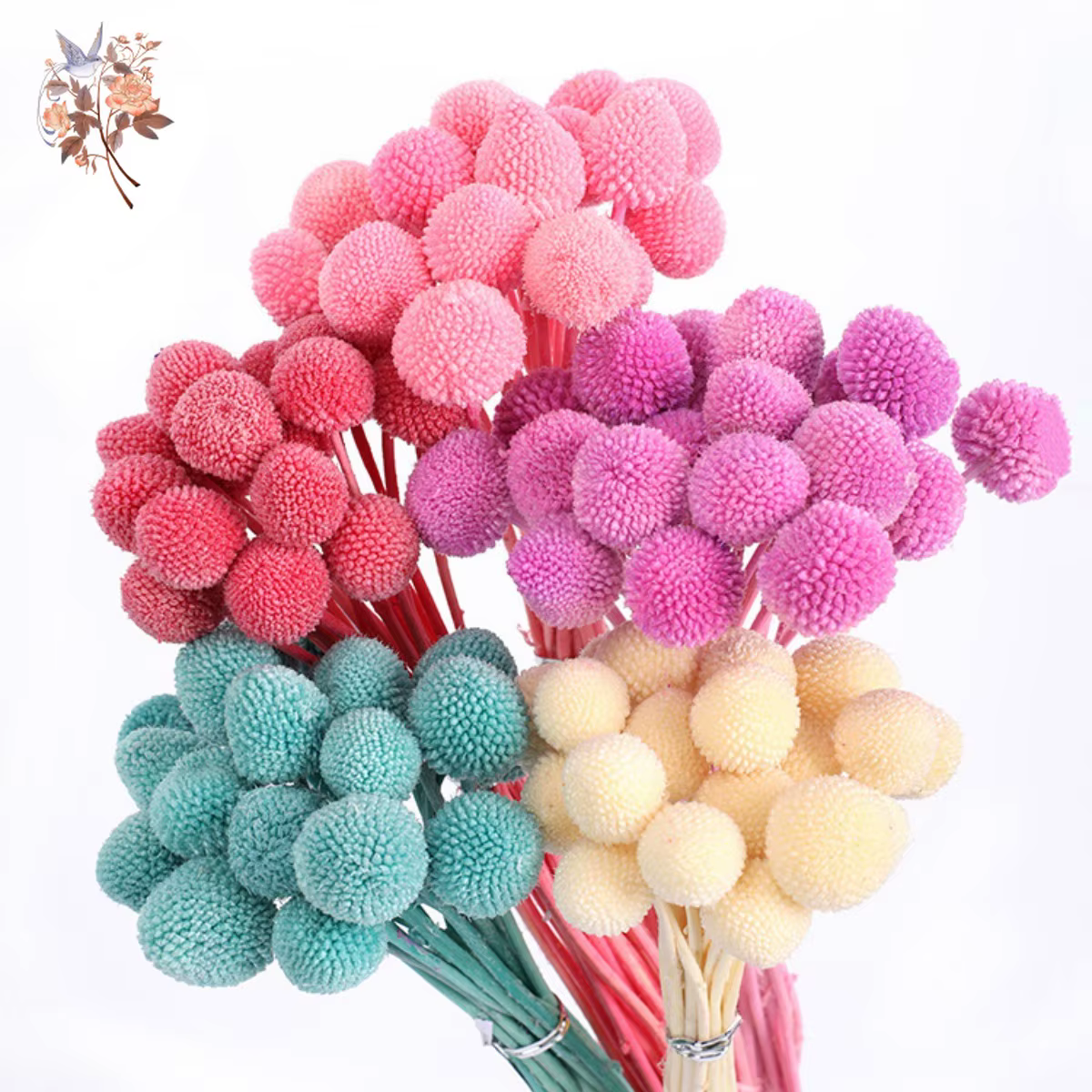 Fleurs IkFlowers séchées CeleButton pour décoration de table