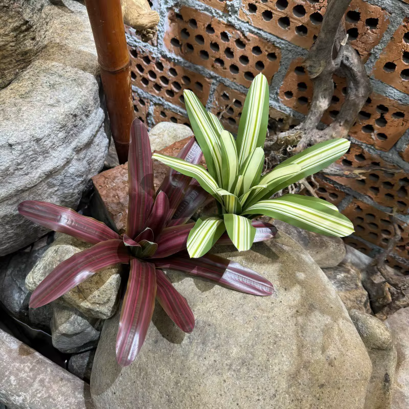 Bromeliad artificiel en pot