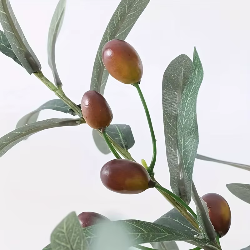 Olive plante simulée, mariage