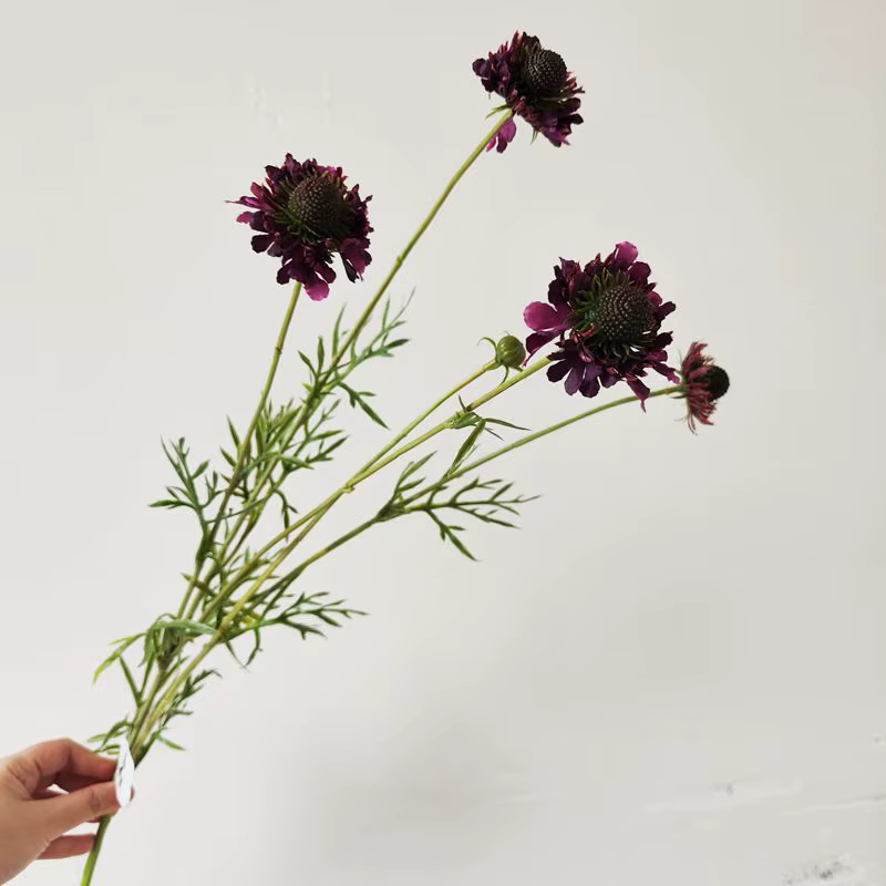 Fleurs artificielles de Scabiosa ambre