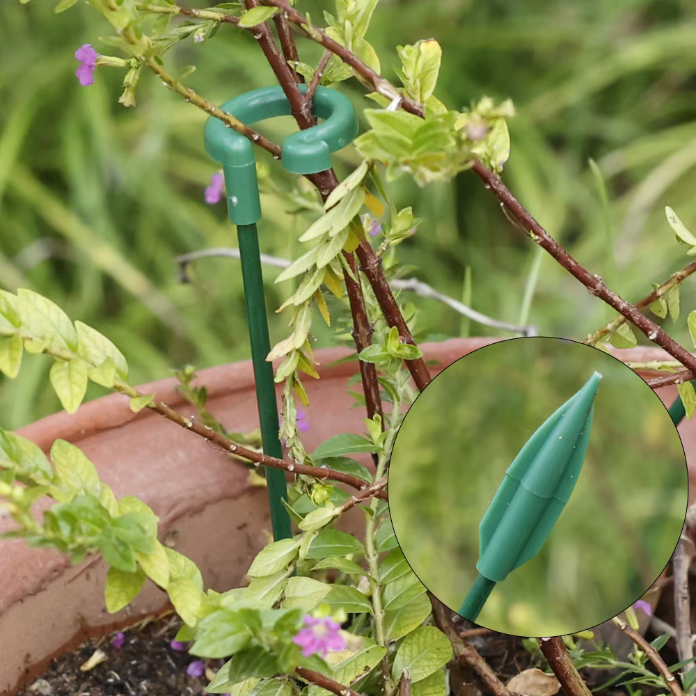 Tiges de Support pour plantes en plastique