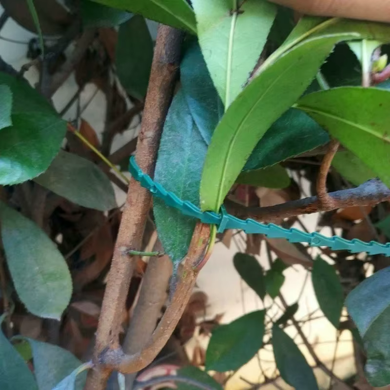 50 attaches réglables en plastique réutilisables pour plantes