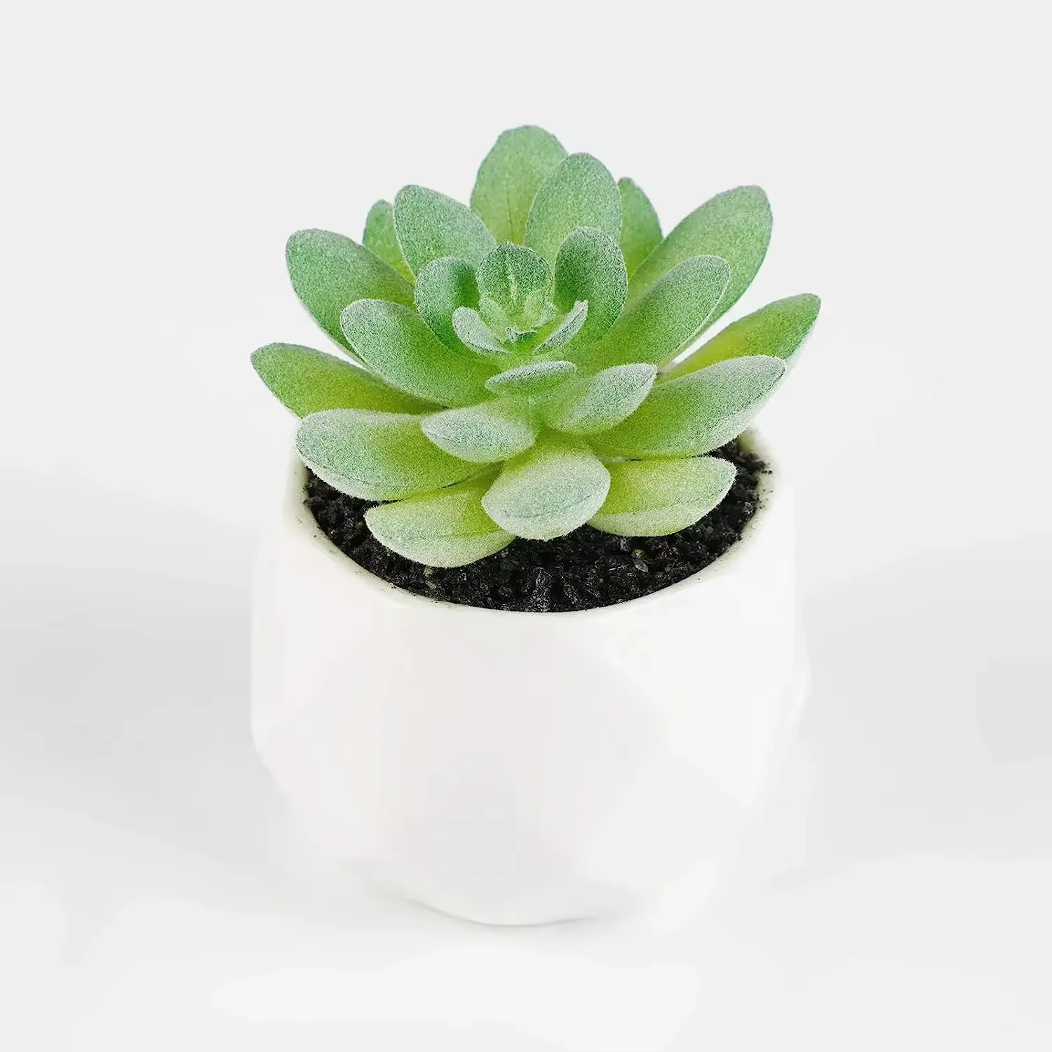 Succulentes artificielles 7 pièces fausse plante succulente réaliste artificielle