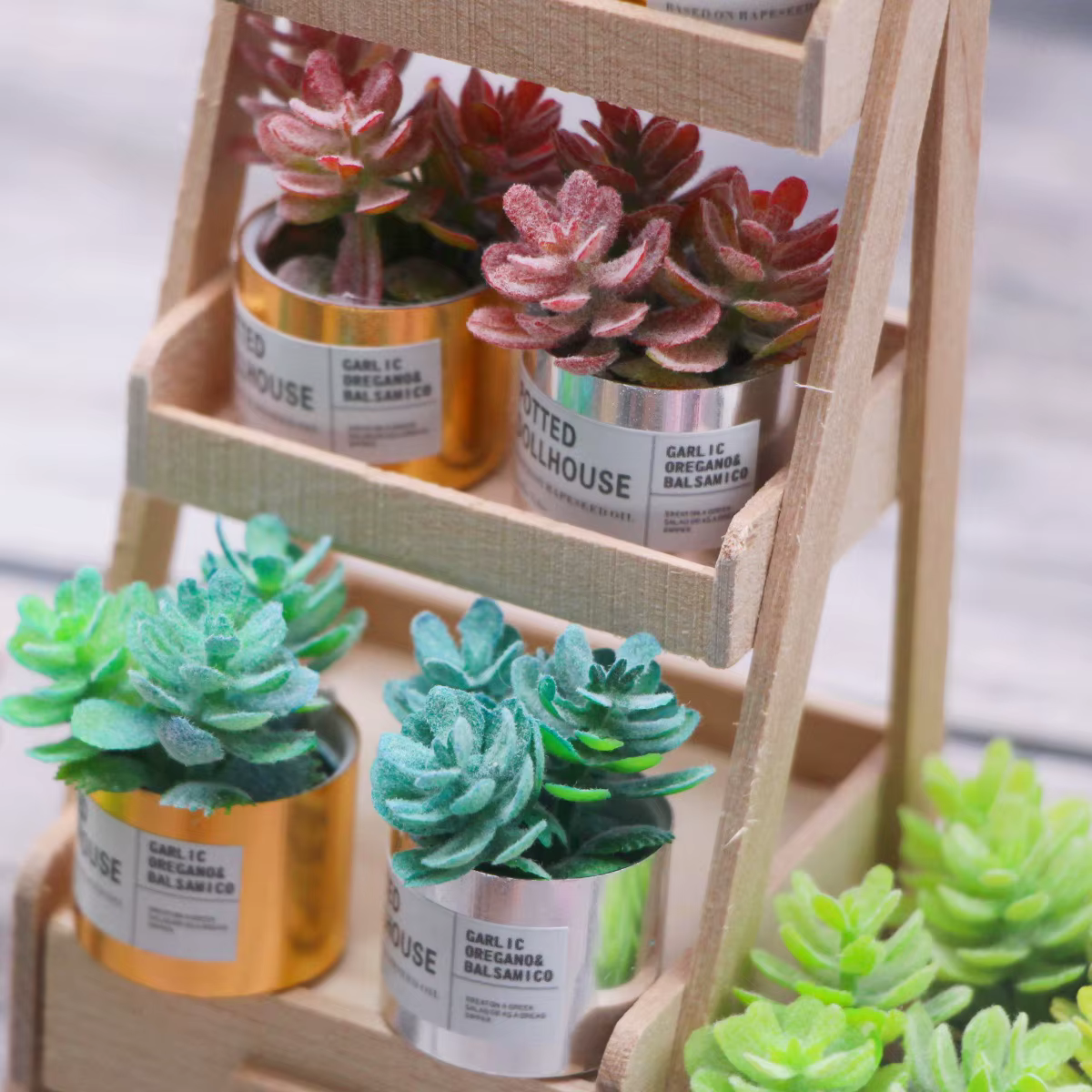 Plante verte l'inventaire en pot