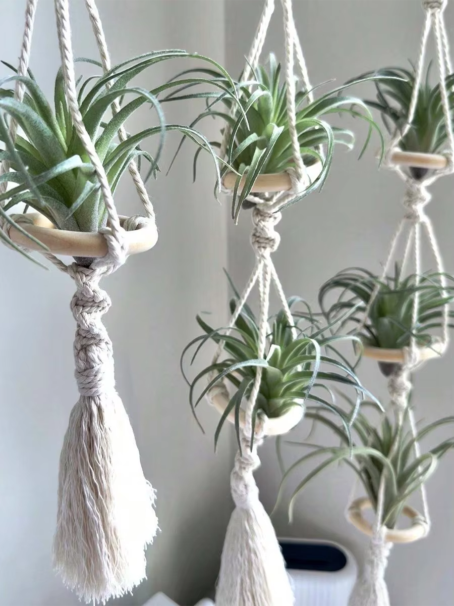 Cintres Muraux en Macramé pour Plantes à Air