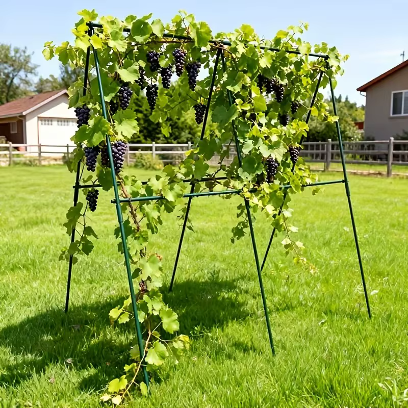 18 supports de croissance pour plantes grimpantes - Tomates