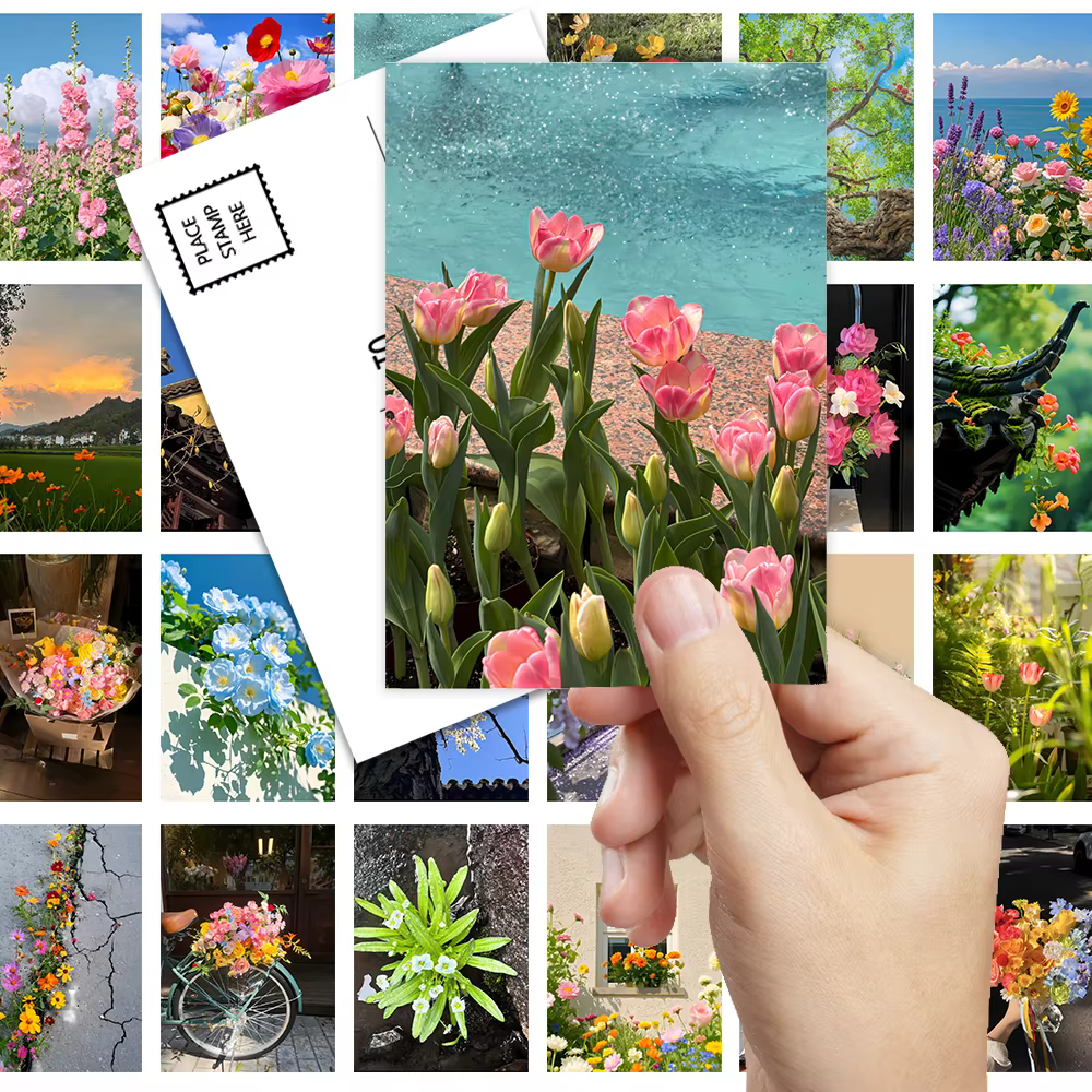 Série de cartes postales de plantes de guérison