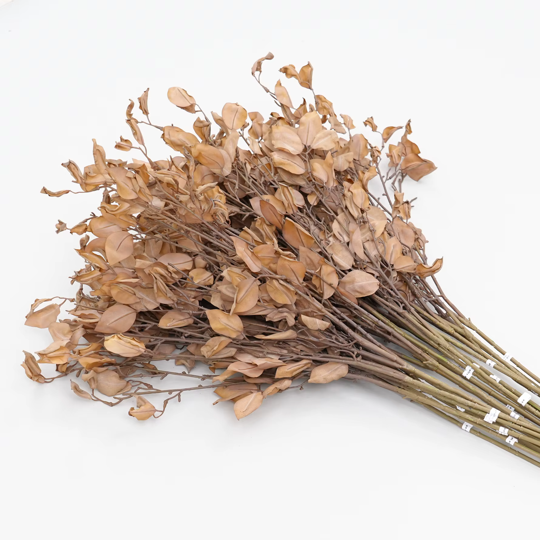 A2024 feuilles jaunes de gingembre branche de plante artificielle maison chambre Vase décor de Table matériel d'arrangement de fleurs de mariage accessoires de tir