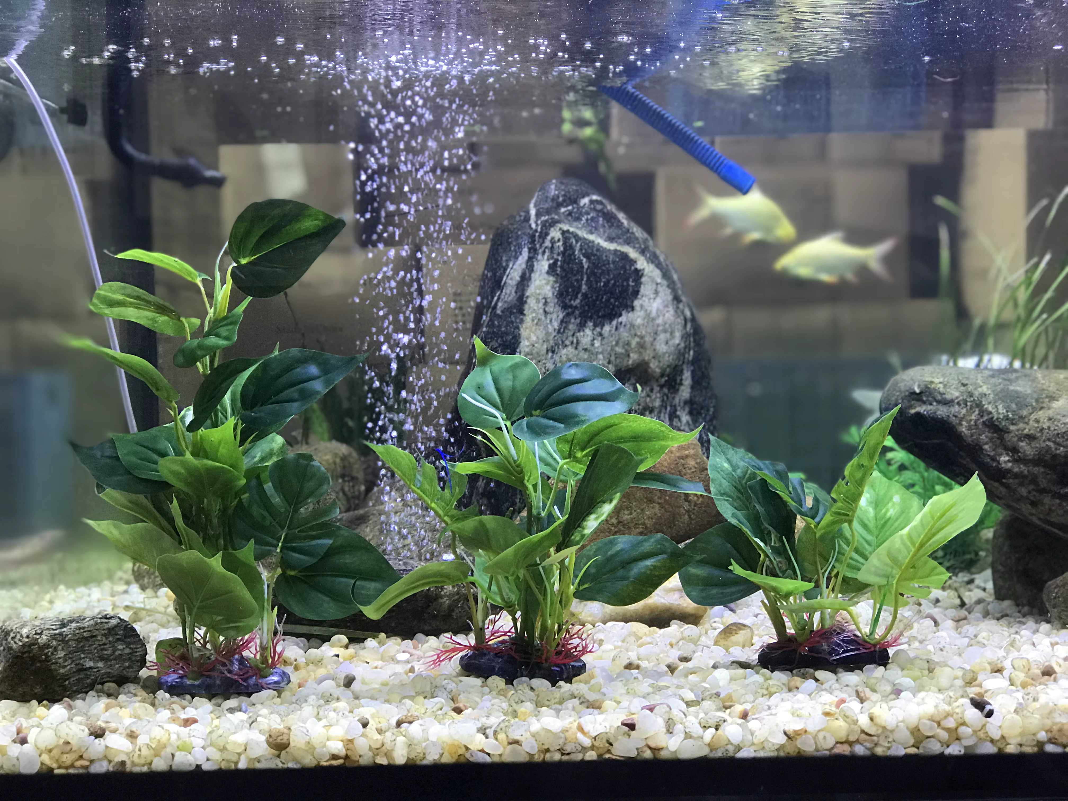 Plantes artificielles de décoration d'aquarium