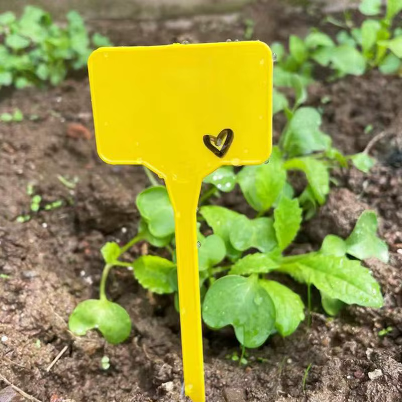 Étiquettes pour plantes de jardin 100 pièces