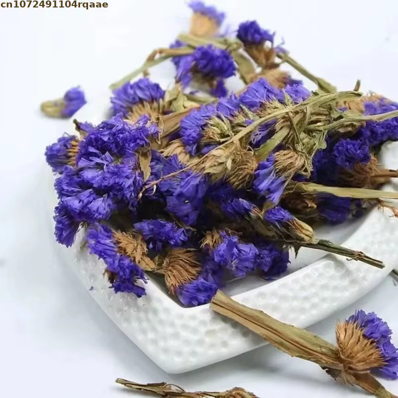 Myosotis bleu naturel de haute qualité