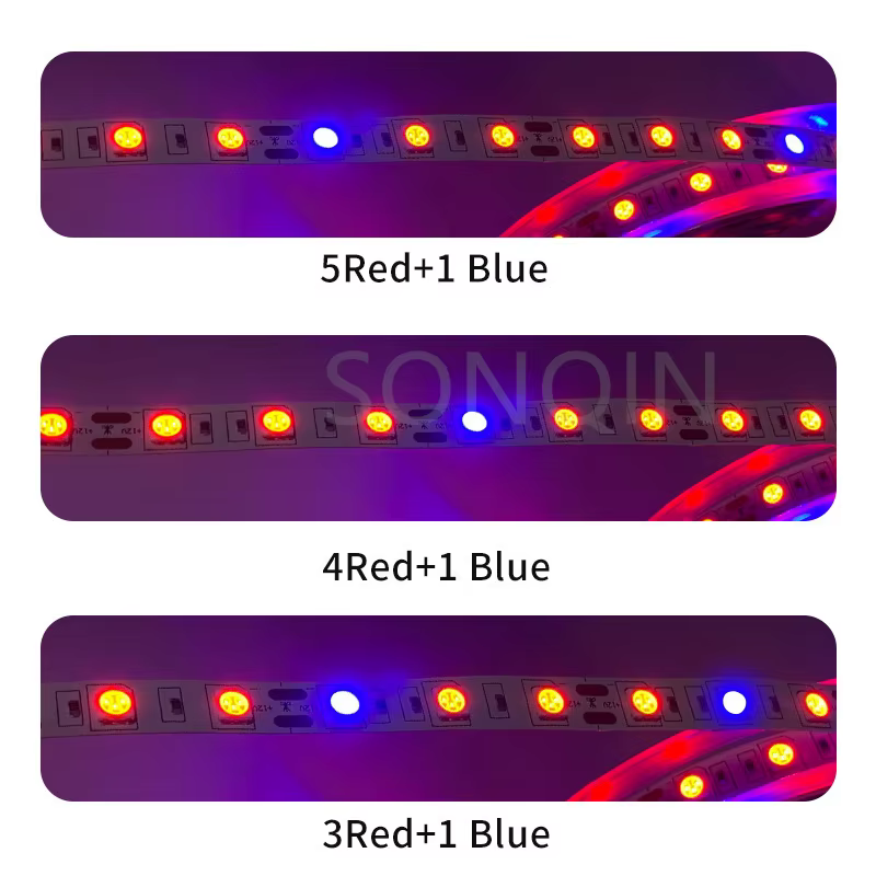 12V Led plante poussent la lumière spectre complet Phyto lampe 1m 2m 3m 5M bande pour graines fleur serre tente plantes hydroponiques éclairage