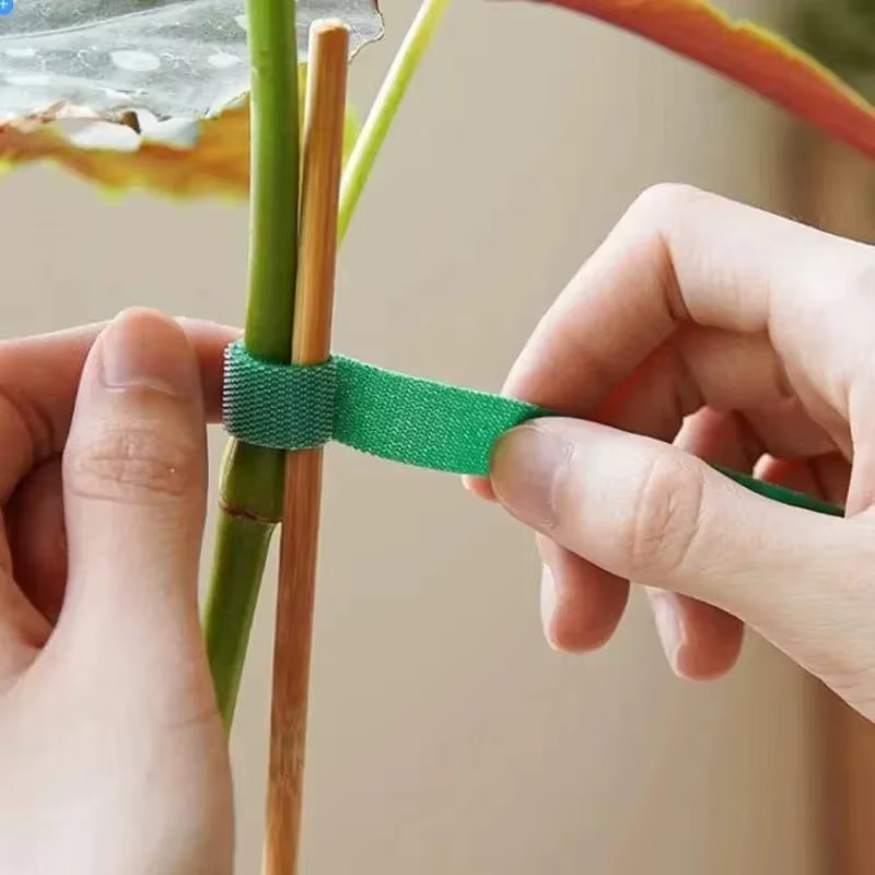 Attaches pour plantes en Nylon réutilisables de 10M