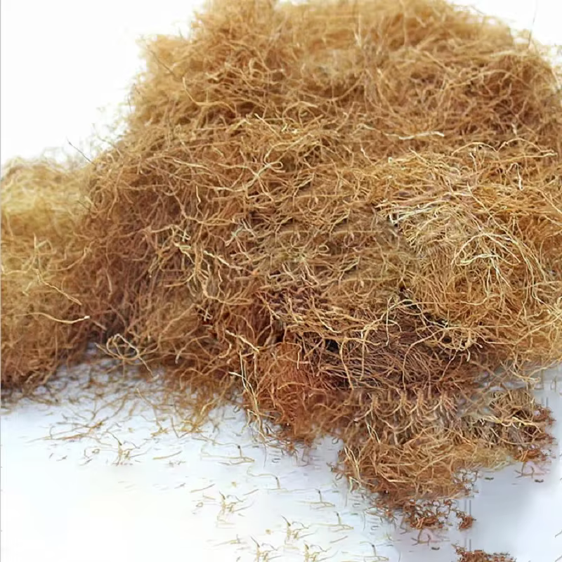 Simulation d'herbe de modélisation pour bricolage