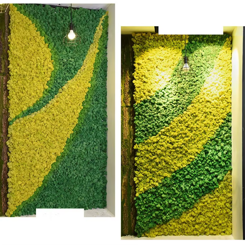 Mousse de plantes artificielles pour la décoration murale de la maison