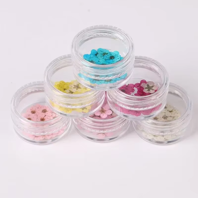 Ensemble de petites fleurs séchées Spirea pour décorations Nail Art