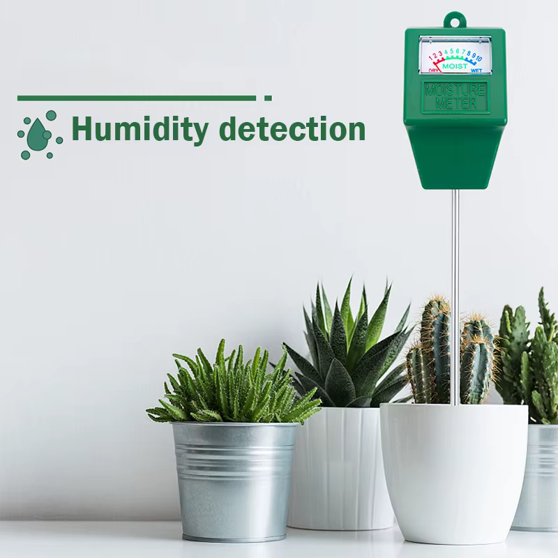 Humidimètre du sol pour plantes à fleurs
