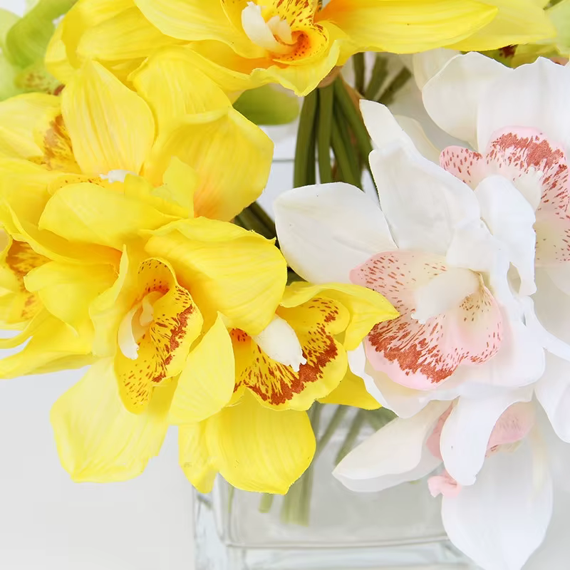 Simulation de fleur Cymbidium