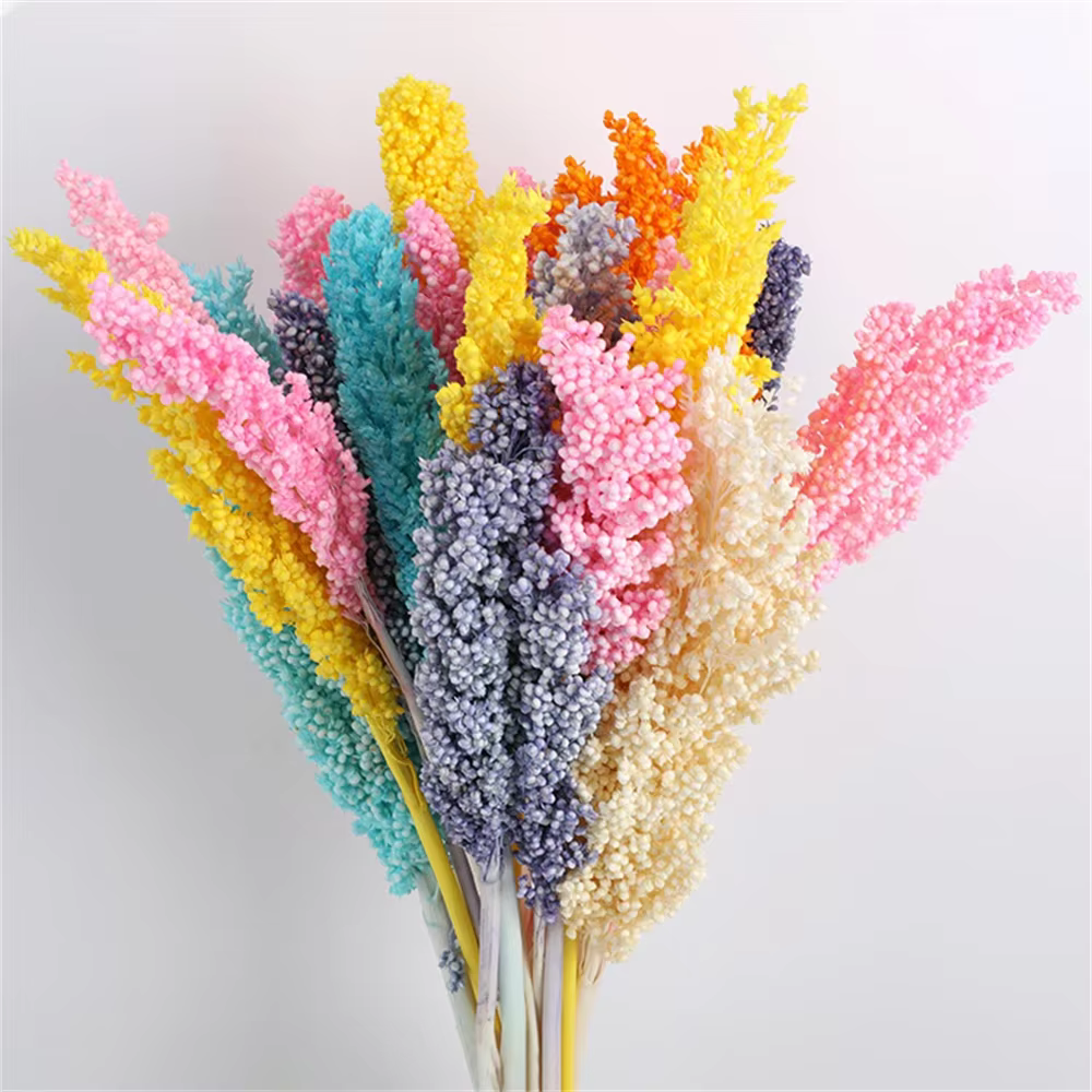 Bouquet de fleurs séchées éternelles