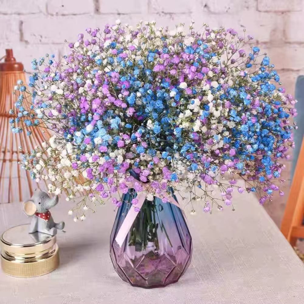 Bouquet de fleurs de gypsophile séchées naturelles