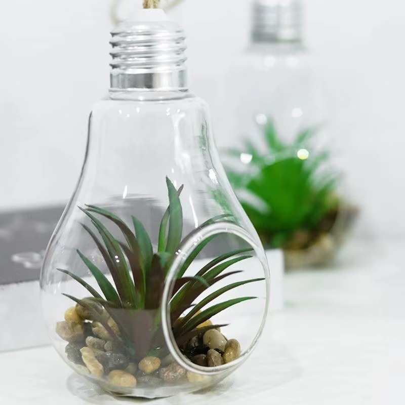Jardinières suspendues en verre en forme d'ampoule