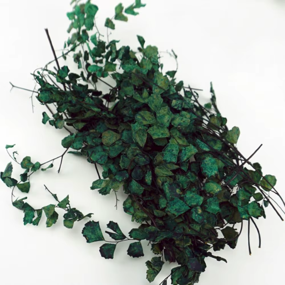 Simulation de plantes miniatures Creepers