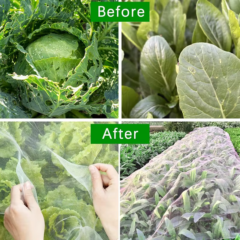 Filet de Protection contre les insectes pour plantes et légumes