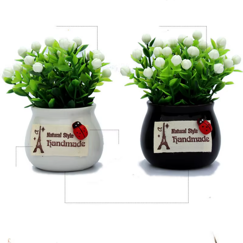 Plante porte-bonheur en pot