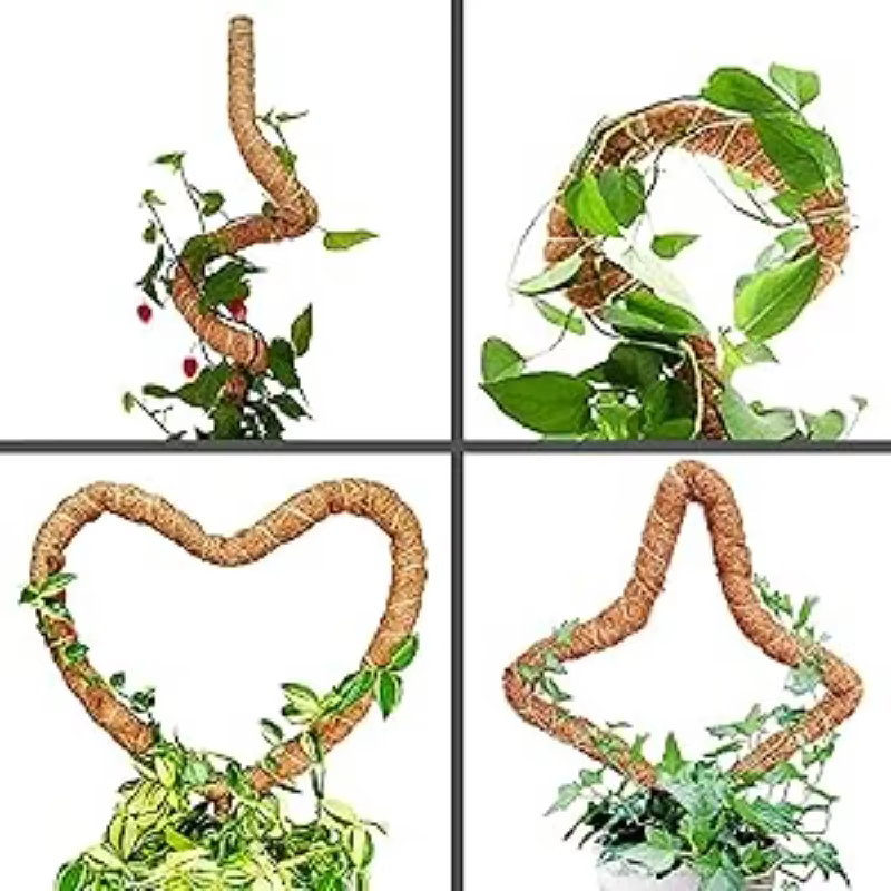 Poteau d'escalade pour plantes