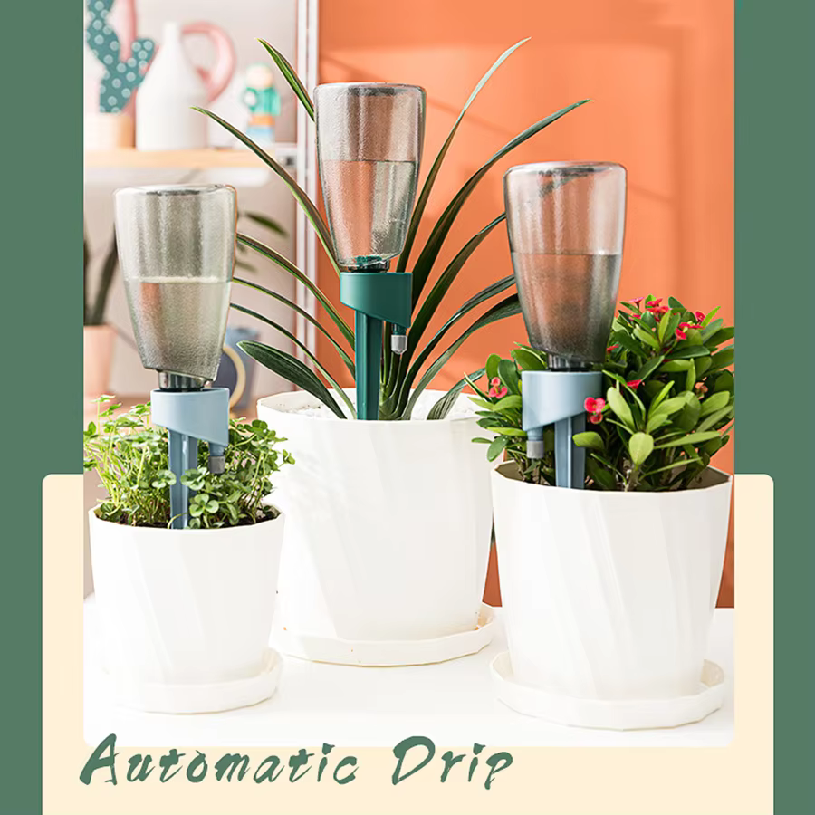 Boules d'arrosage pour plantes vertes avec bouteille