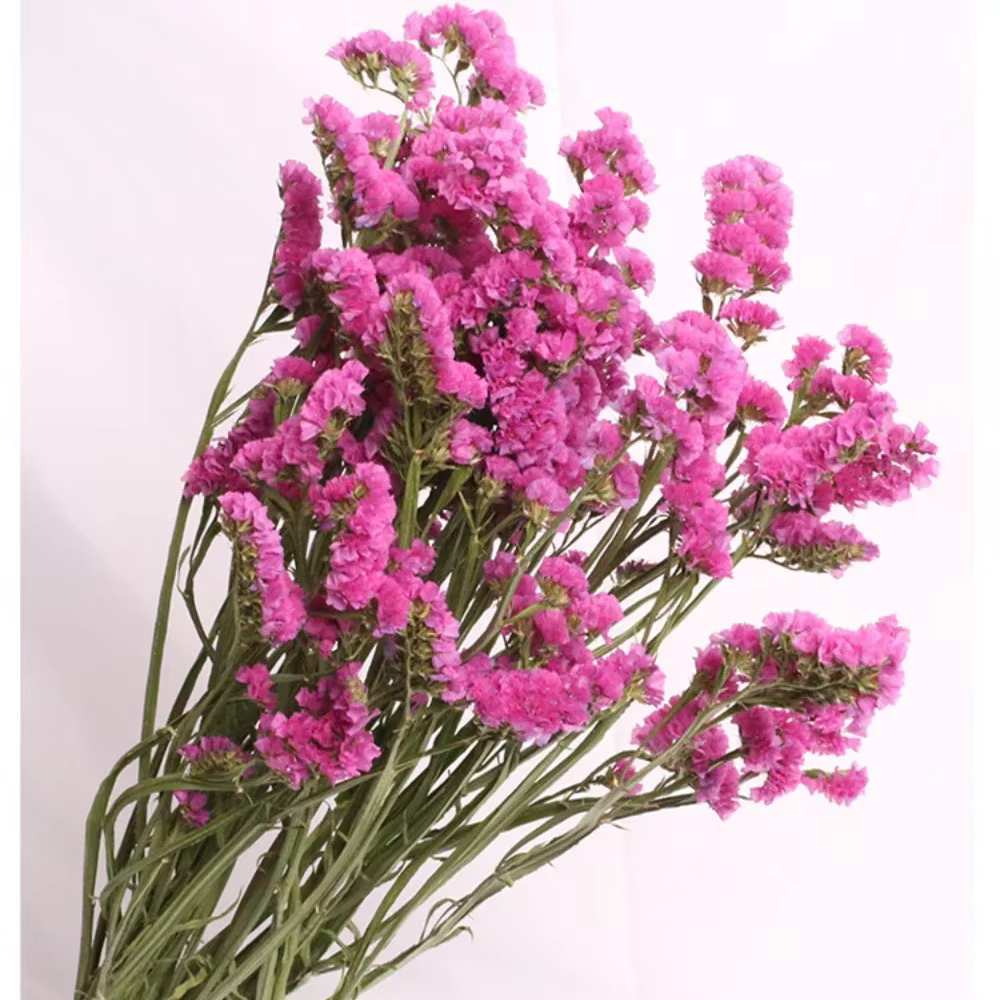 Bouquet de fleurs immortel pour la décoration intérieure