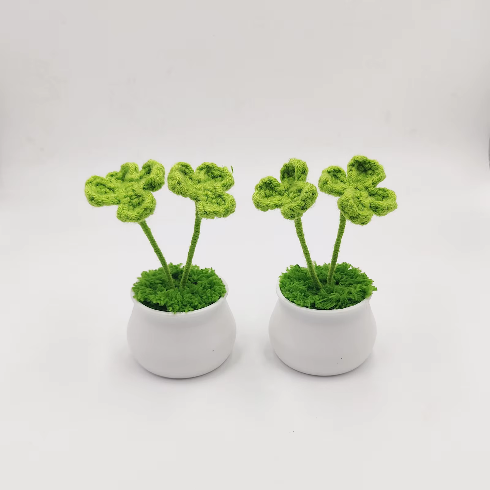 Plante en pot Everver Four scalp