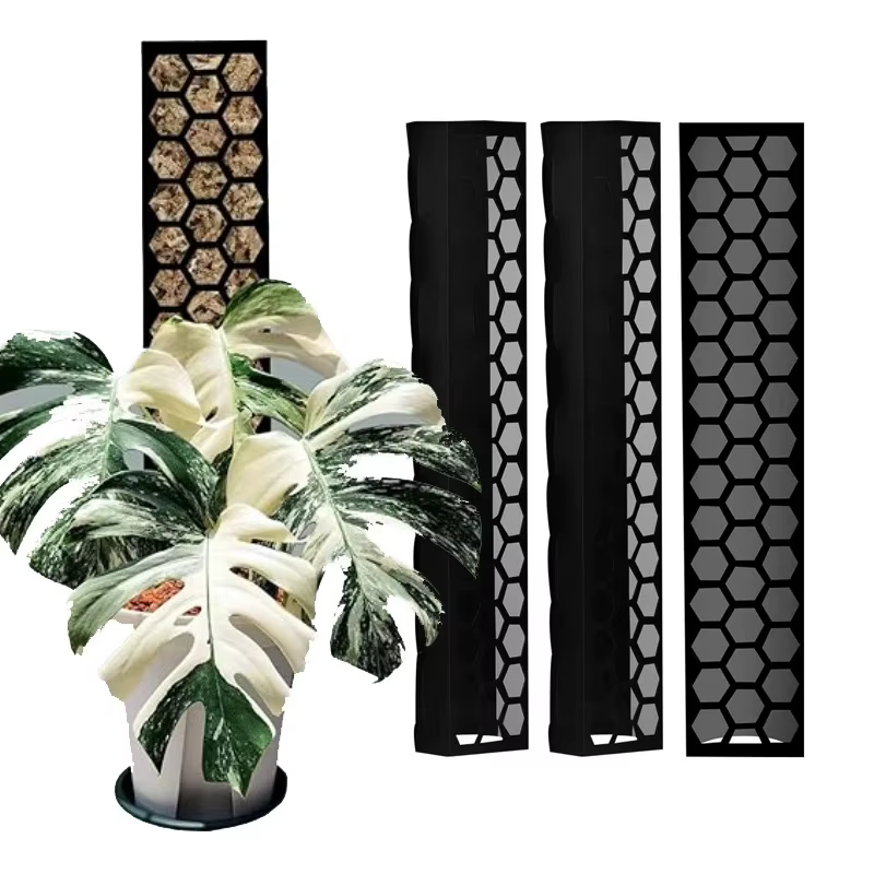 3 piquets de mousse en plastique extensibles pour l'entraînement des plantes grimpantes d'intérieur comme le Monstera pour une croissance verticale