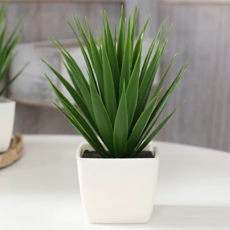 Simulation de plantes en pot