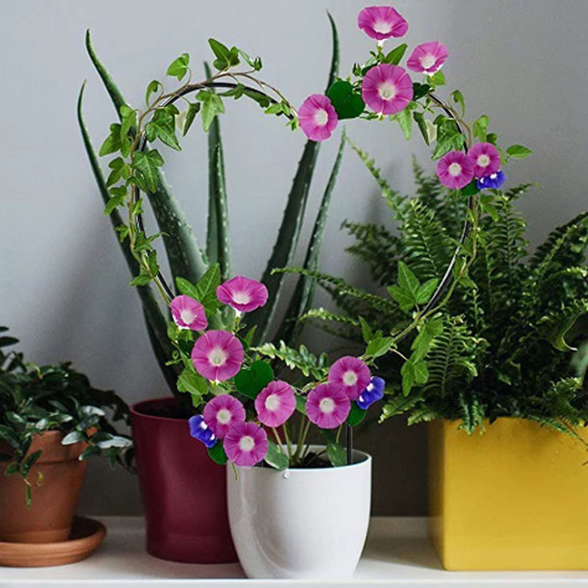Support de plante grimpante en fer pour plantes grimpantes