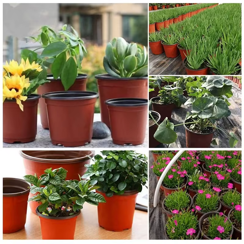 Pots de fleurs en plastique simples