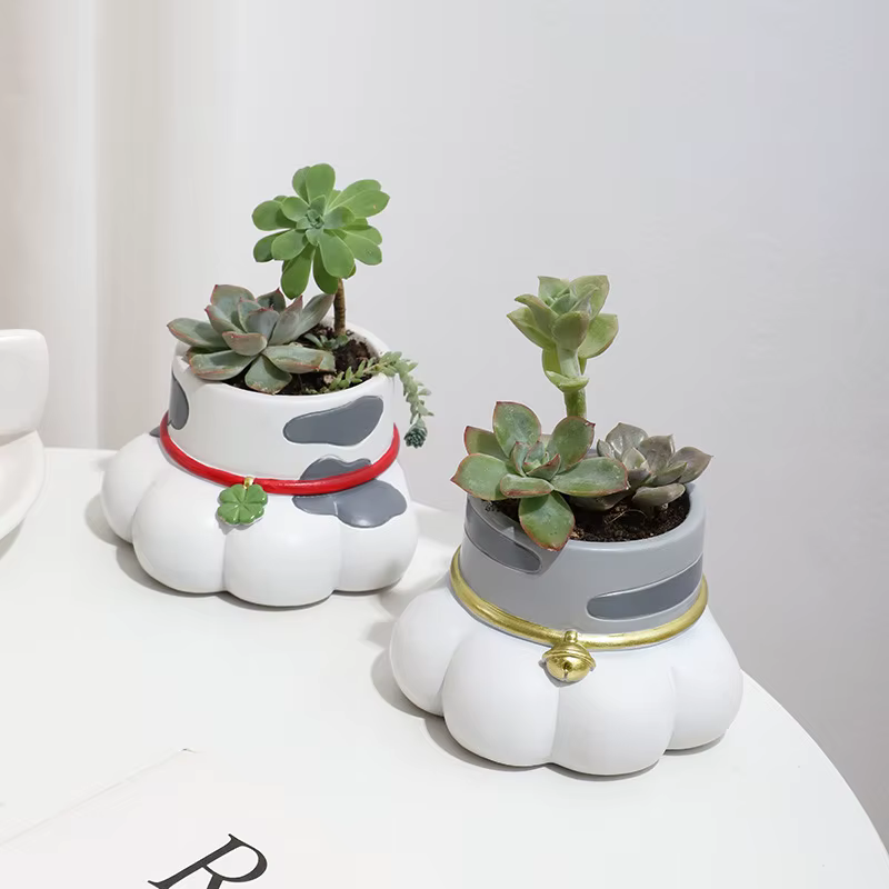 Pot de plantes succulentes en forme de patte de chat