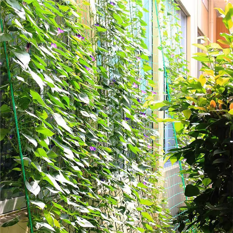 BSEVB - Filet de treillis pour plantes de jardin 3