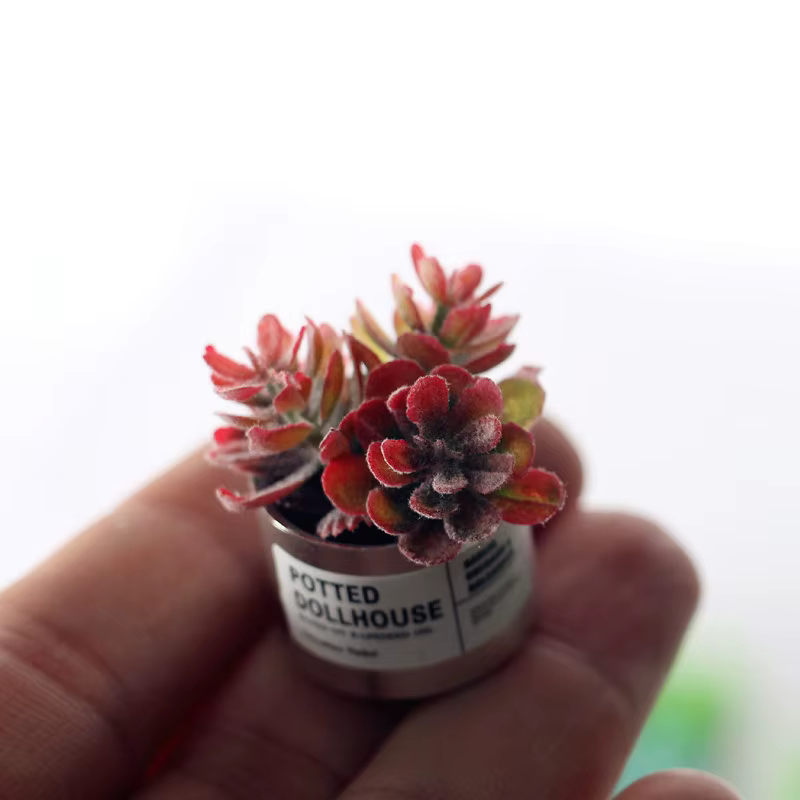 Plante verte l'inventaire en pot