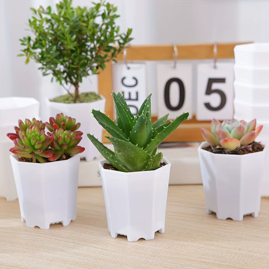 Pots octogonaux en plastique de 7cm